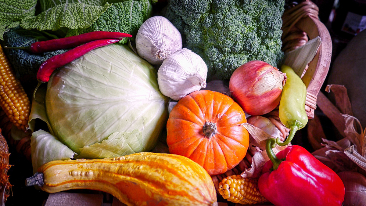 harvest vegetable medley