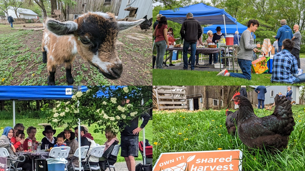 Shared Harvest Spring Picnic 2023